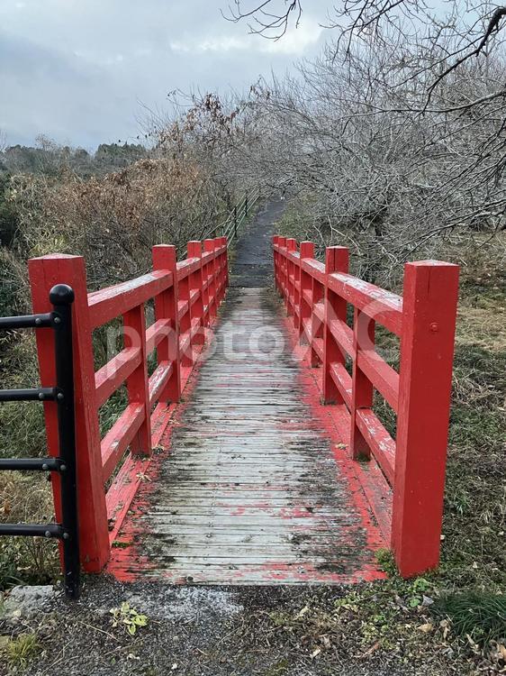 朱塗りの古い木製の橋 橋,木製,朱塗りの写真素材