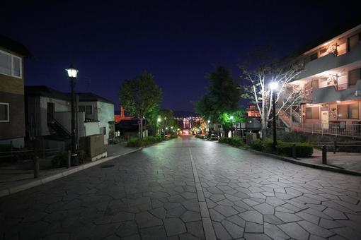 八幡坂 八幡坂の写真