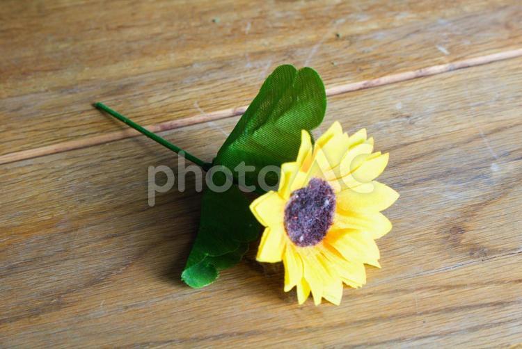 一輪のひまわり　背景テーブル 向日葵,ひまわり,花の写真素材