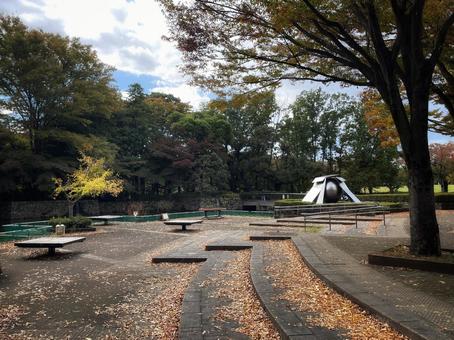 秋の公園 景色,都内,公園の写真素材