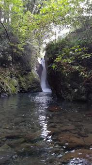 滝 滝の写真