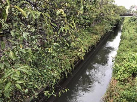 A narrow river after the rain A narrow river after the rain