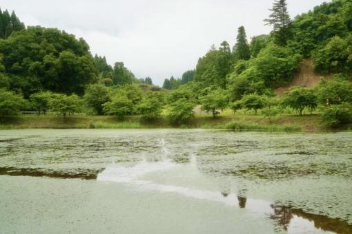 ため池 ため池 ため池,山,自然の写真素材