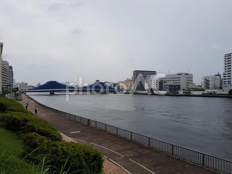 台風の日の隅田川 隅田川,台風,風の写真素材
