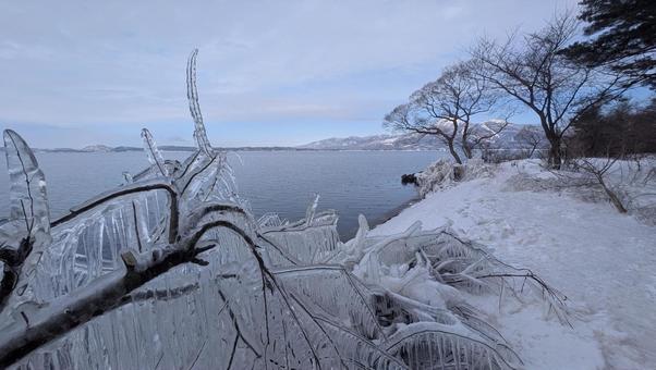 冬 しぶき氷,樹氷,飛沫氷の写真素材