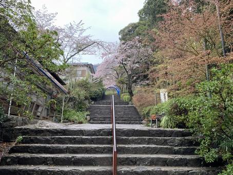 茨城県筑波山の景色10 茨城県筑波山の景色10の写真