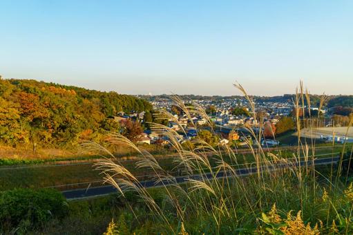 秋の狭山湖の堤防から街を見る 狭山湖,堤防,秋の写真素材