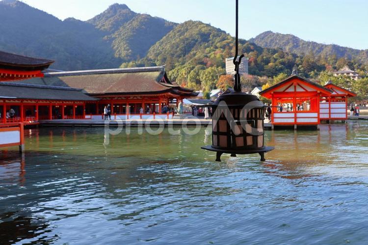 １１月下旬の安芸の宮島の厳島神社の社殿 背景,社殿,建物の写真素材
