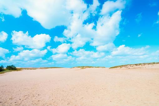 【鳥取】青空と鳥取砂丘の写真
