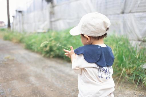 後ろ姿 後ろ姿 後ろ姿,子供,男の子の写真素材