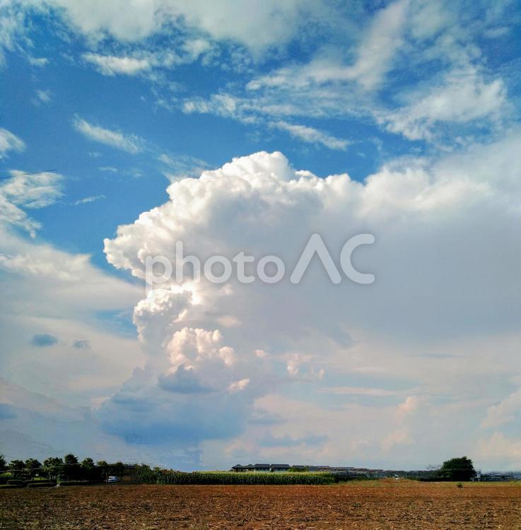 夏空　雲　景色 夏空,雲,景色の写真素材