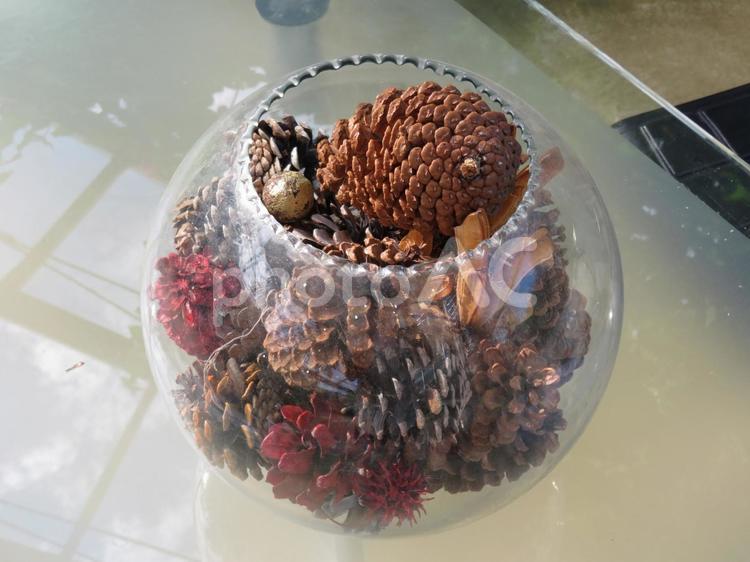 公園の休憩室に置かれた木の実ミックス 木の実,植物,ガラスの写真素材