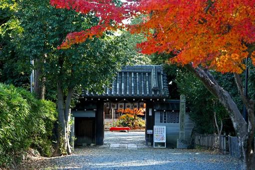大阪・三島郡 水無瀬神宮 山門・参道 大阪・三島郡 水無瀬神宮 山門・参道の写真