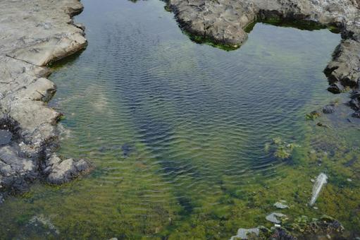 Sea breeze blowing across the tide pools, Wakagogafuchi, JPG