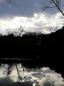 夕暮れ 夕暮れの写真