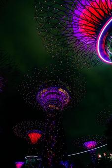 【シンガポール】ガーデンズバイザベイ ガーデンズバイザベイ,シンガポール,スーパーツリーの写真素材