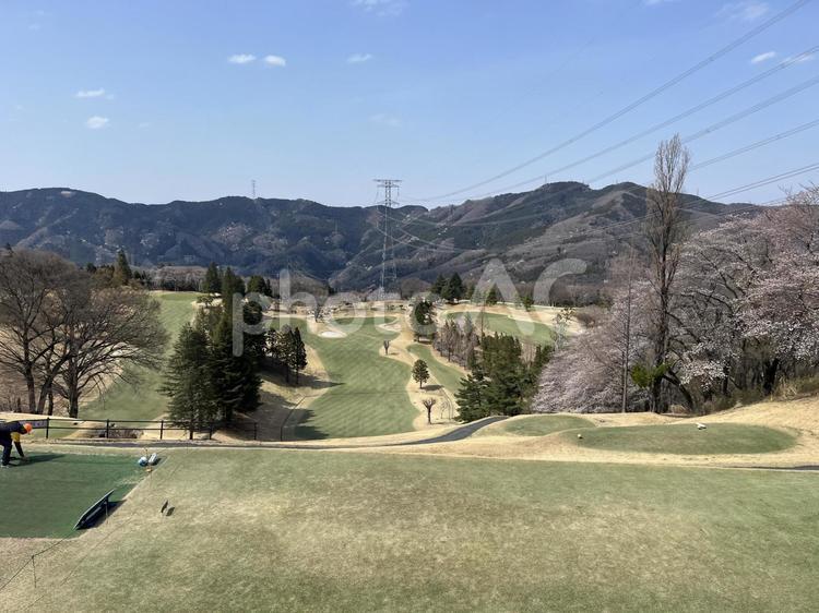 ゴルフコース ゴルフ,コース,ゴルフコースの写真素材