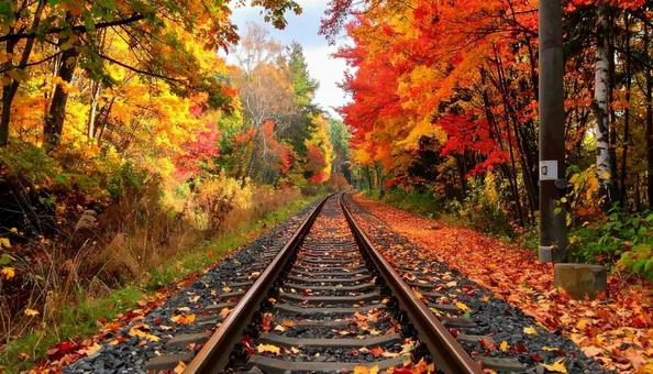 秋の紅葉のトンネルと鉄道のレール 秋の紅葉のトンネルと鉄道のレールの写真