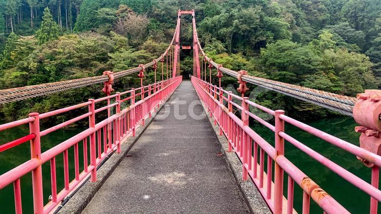 鱒淵ダムの赤い吊り橋 吊り橋,赤い橋,鱒淵ダムの写真素材