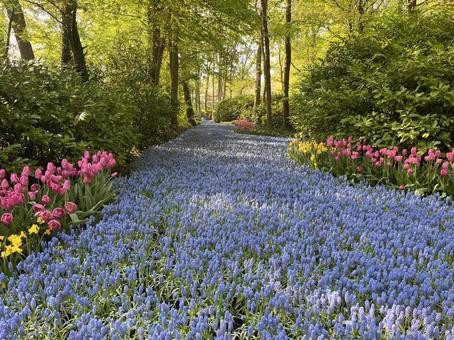 キューケンホフ公園の写真