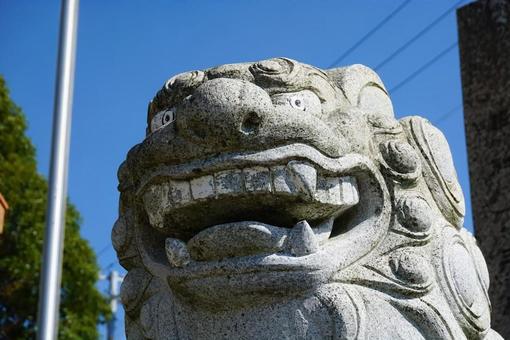 青空と狛犬の石像 狛犬,石像,神社の写真素材