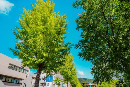 【鳥取】鳥取駅の周辺の写真