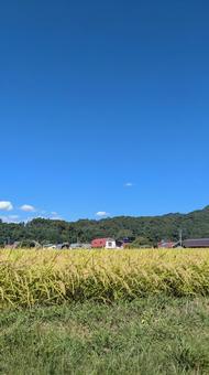 遠野の空 田園,空,遠野の写真素材