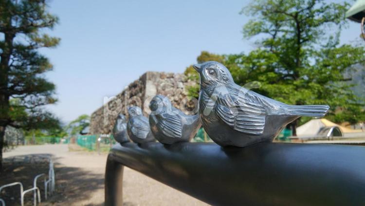 スズメの鋳物がついた車止め_1 車止め,ピコリーノ,柵の写真素材