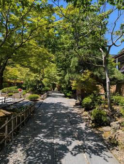 円通院 円通院 松島,松島海岸,円通院の写真素材
