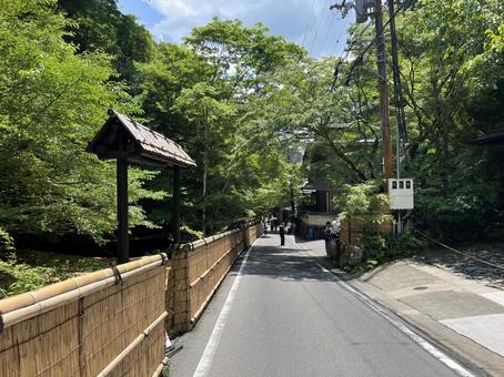 貴船 貴船,京都,青もみじの写真素材