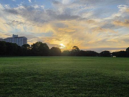 朝日と公園 朝日と公園の写真
