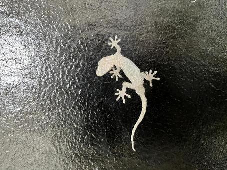 ヤモリ ヤモリ ヤモリ,窓,曇りガラスの写真素材
