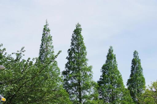 東品川海上公園の風景 東品川海上公園の風景の写真
