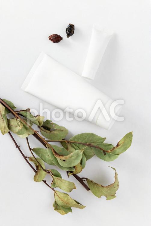 ドライリーフと植物の実と白いチューブ（白背景） モックアップ,物撮り,化粧品の写真素材