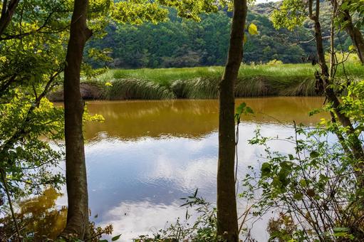 静岡県磐田市の鶴ケ池　10月秋の池の景色 日本,静岡県,磐田市の写真素材