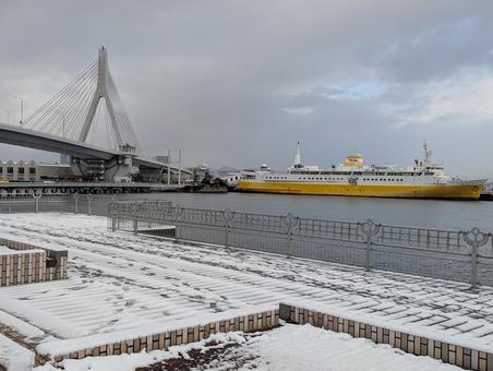 冬の海の朝２ 雪,白い,冬の写真素材