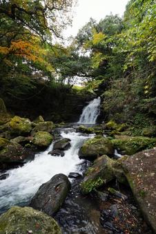 熊本 阿蘇 南小国町 夫婦滝7 夫婦滝,阿蘇,滝の写真素材