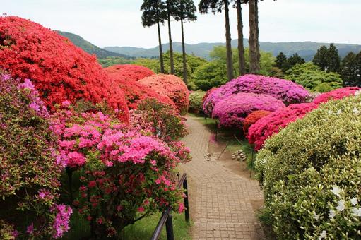 A walk through the azalea garden at Hotel de Yama in Hakone, JPG