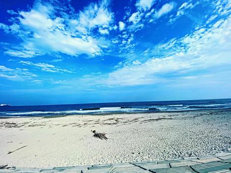 海 海の写真