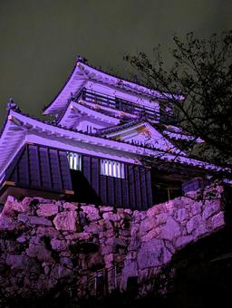 紫色にライトアップされた浜松城天守 浜松城,夜景,ライトアップの写真素材