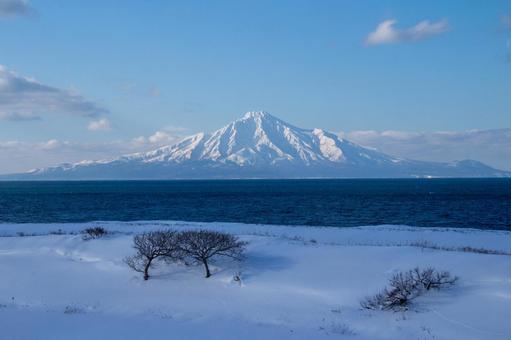 くっきりと姿を見せる冬の利尻岳 くっきりと姿を見せる冬の利尻岳の写真