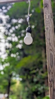 Summer shade, retro light bulb, JPG