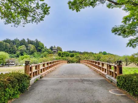 偕楽園公園の花追橋 水戸市 偕楽園公園の花追橋 水戸市 偕楽園公園,常磐公園,花追橋の写真素材