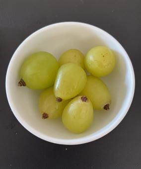 R7.10.9　ブドウシャインマスカットの写真