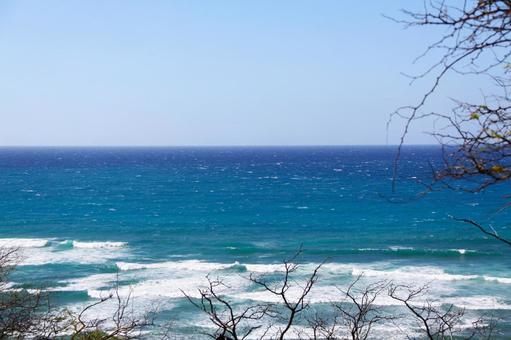 青い海と空(ハワイ・オアフ島) 青い海と空(ハワイ・オアフ島)の写真