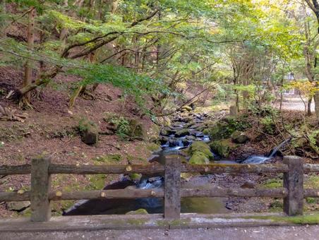 御神楽の淵 紅葉,秋,小太郎ヶ渕の写真素材