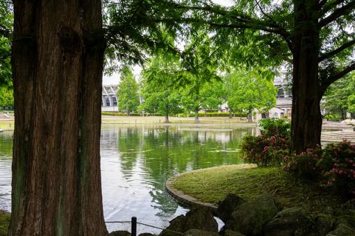 Photo, early summer, urban park, park, 
