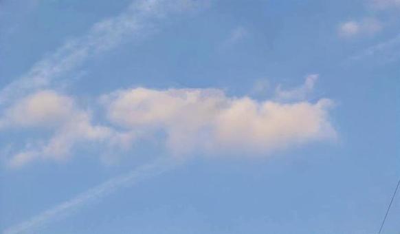 澄んだ朝の写真