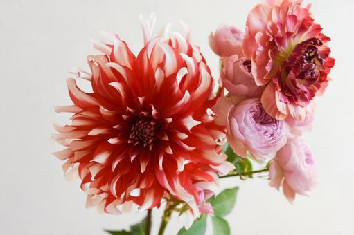 赤系の花束 赤系の花束 紫,ばら,薔薇の写真素材