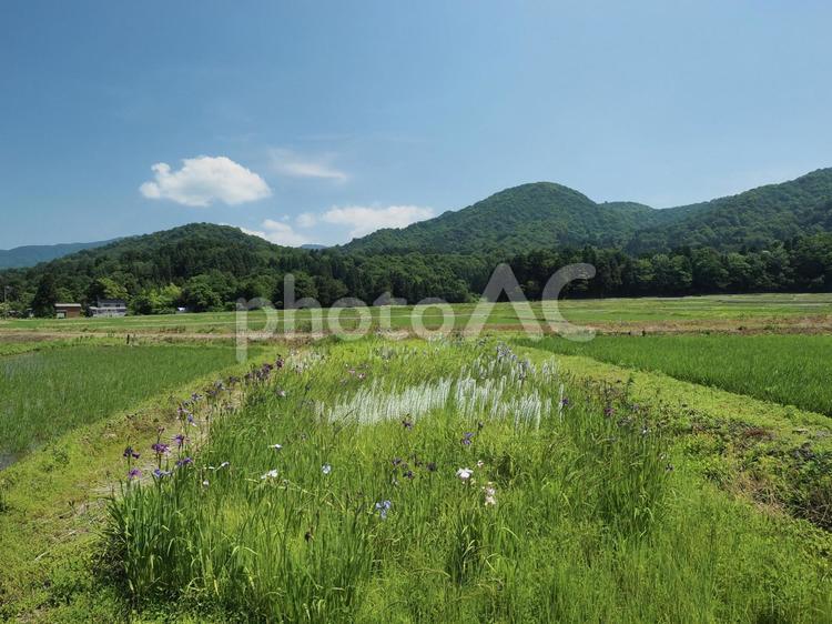 田舎の風景 空,風景,スペースの写真素材